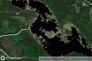 Lipas