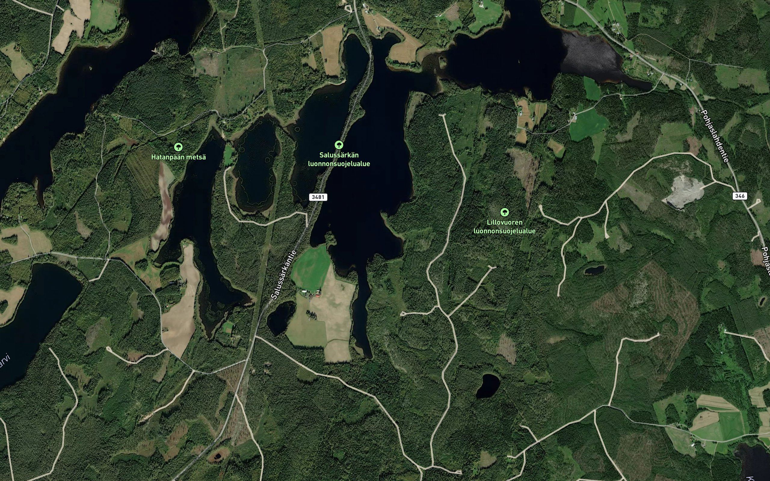 Honganlahti