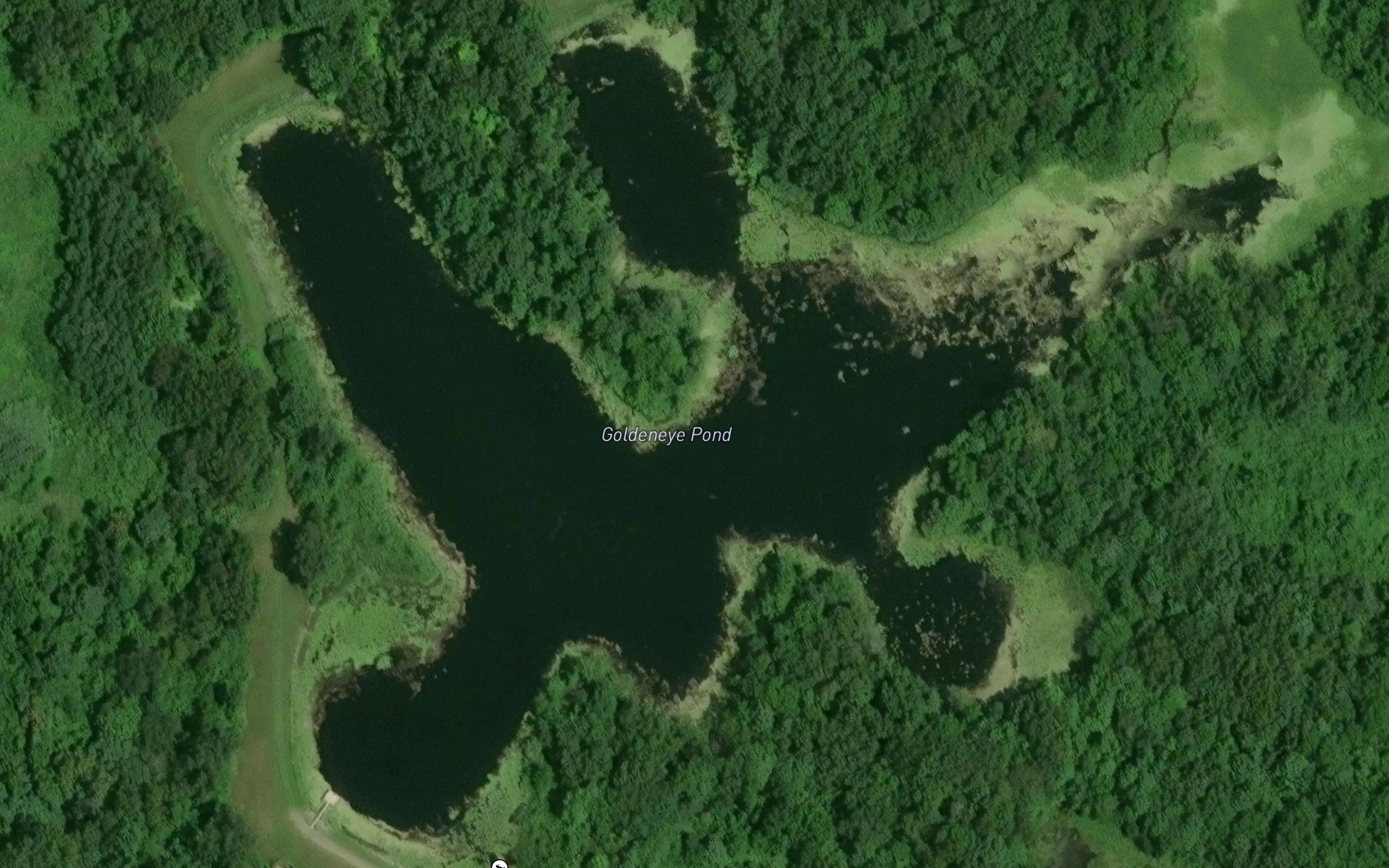 Goldeneye Pond
