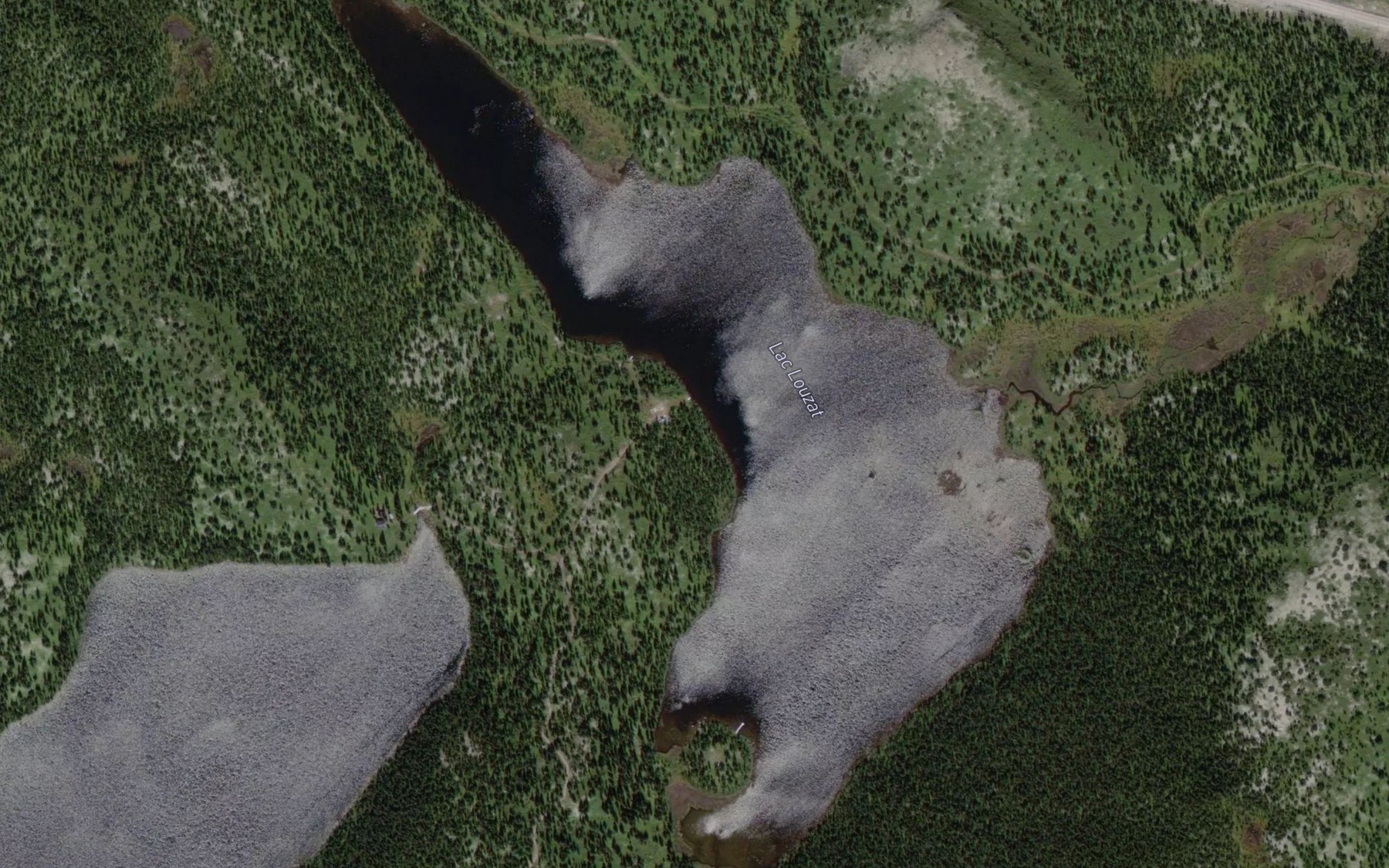 Satellite map of the Lac Louzat