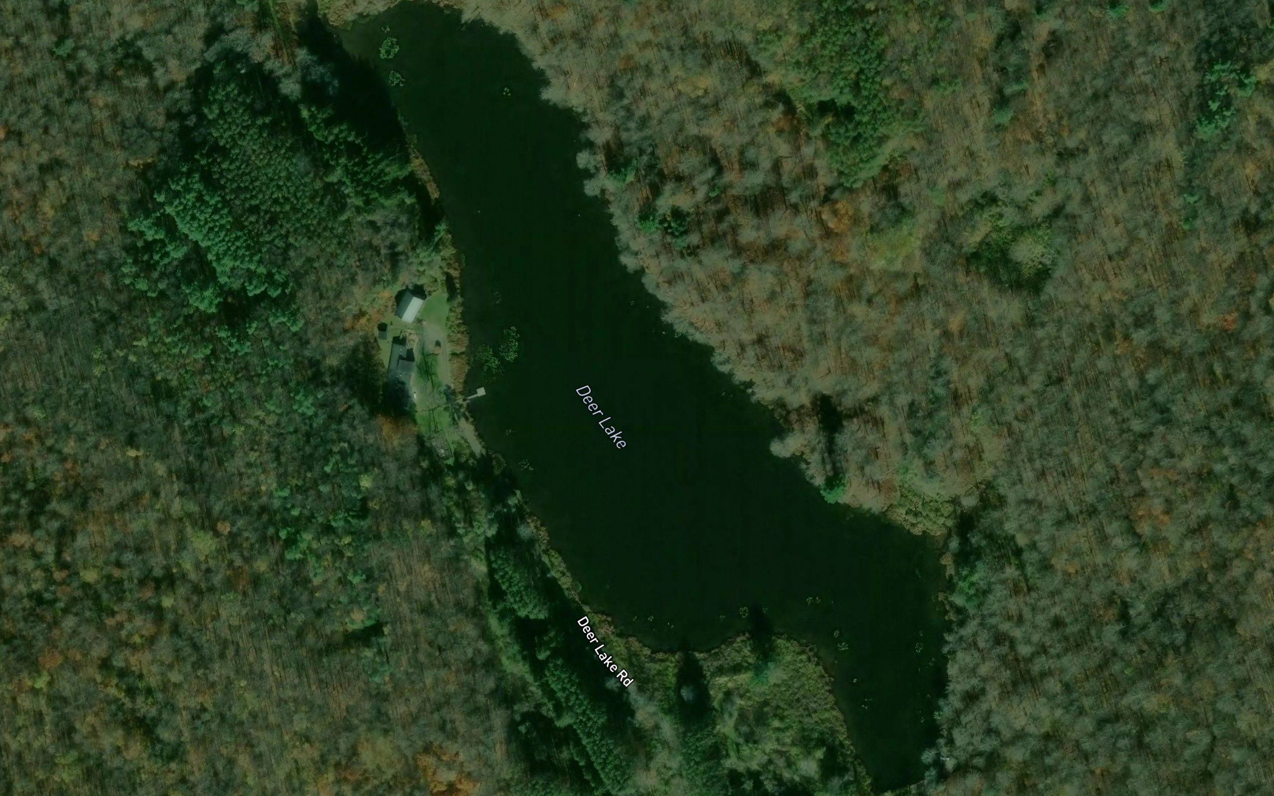 Deer Lake