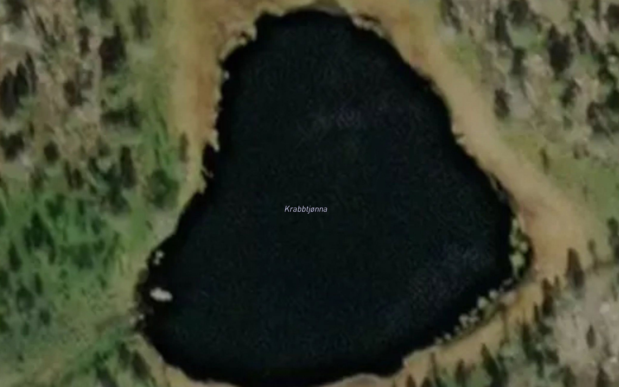 Krabbtjorna