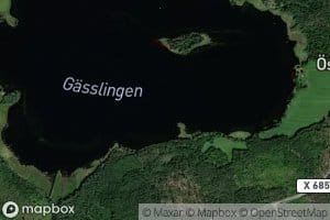 Gasslingen