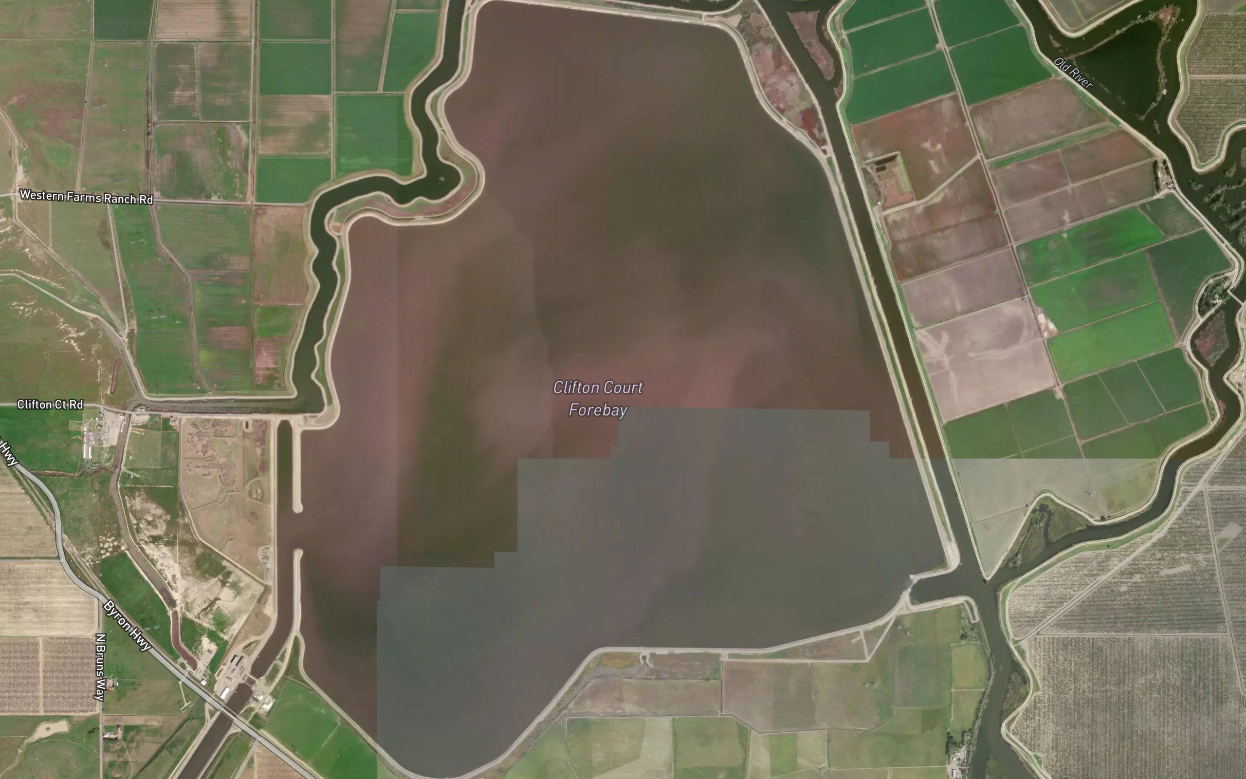 Clifton Court Forebay
