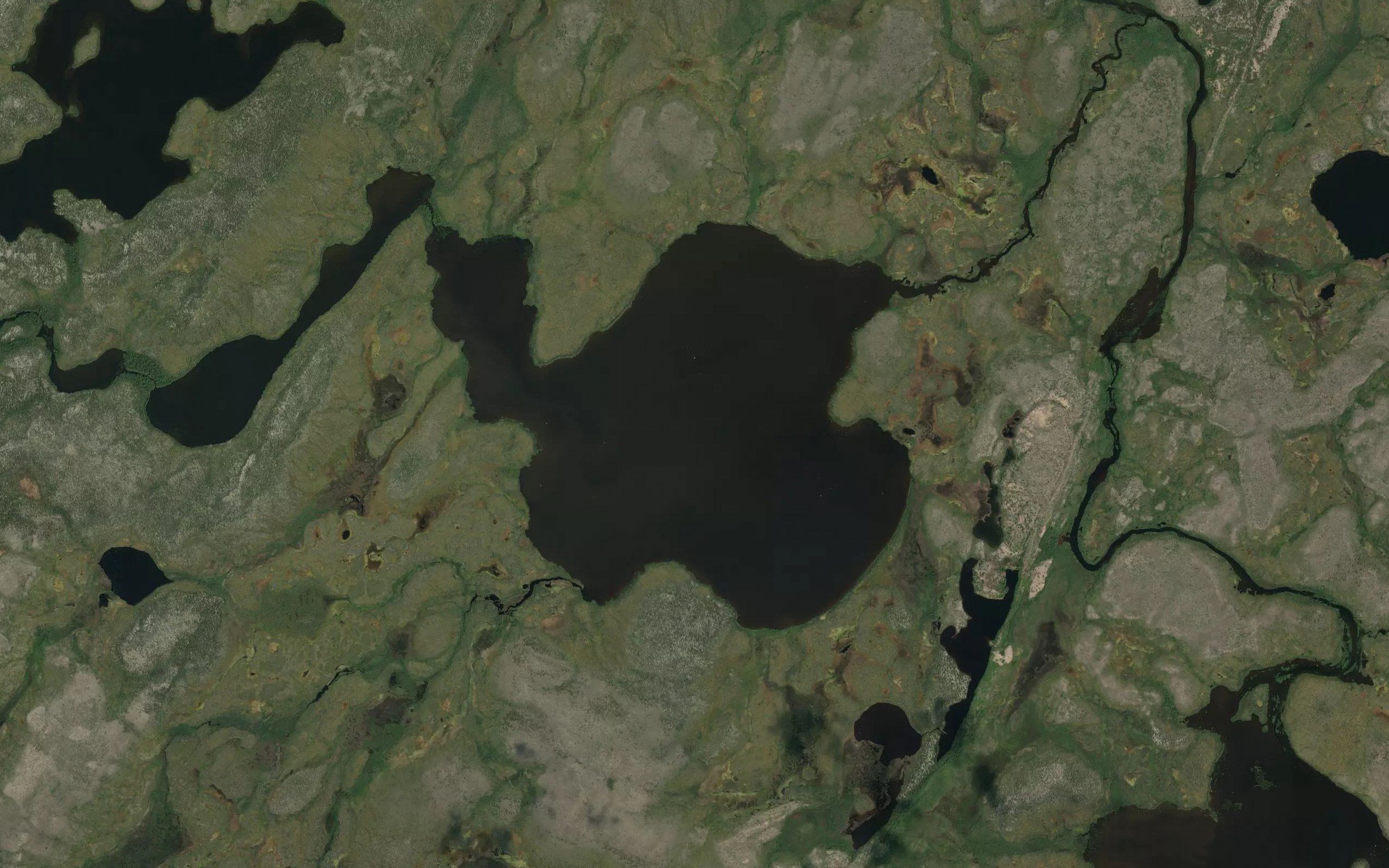 Bugg Lake