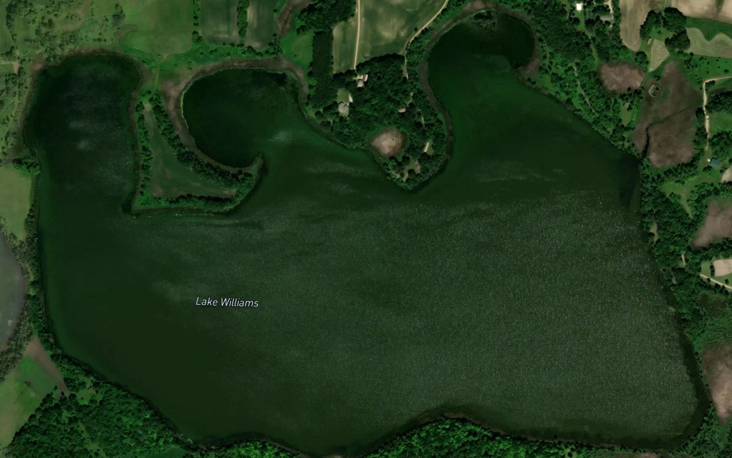 Lake Williams