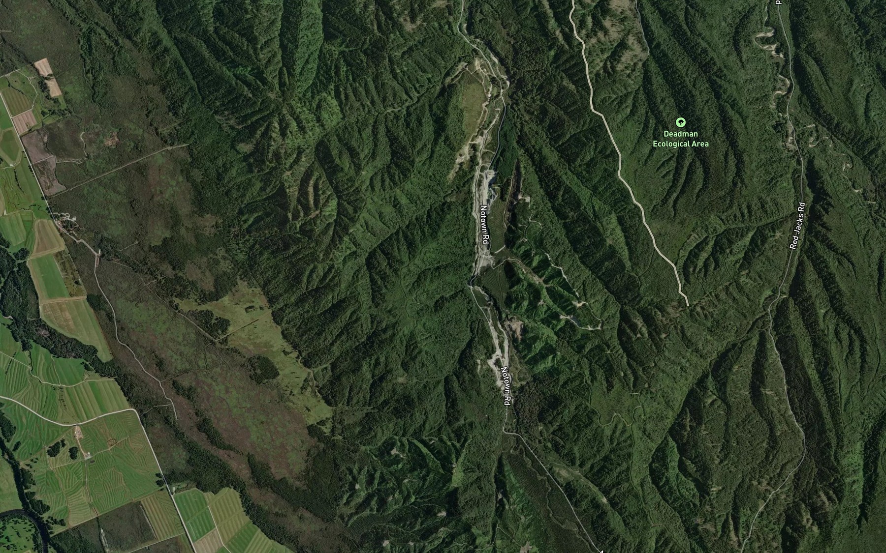 Satellite map of the Ongionui or Twelve Mile Creek