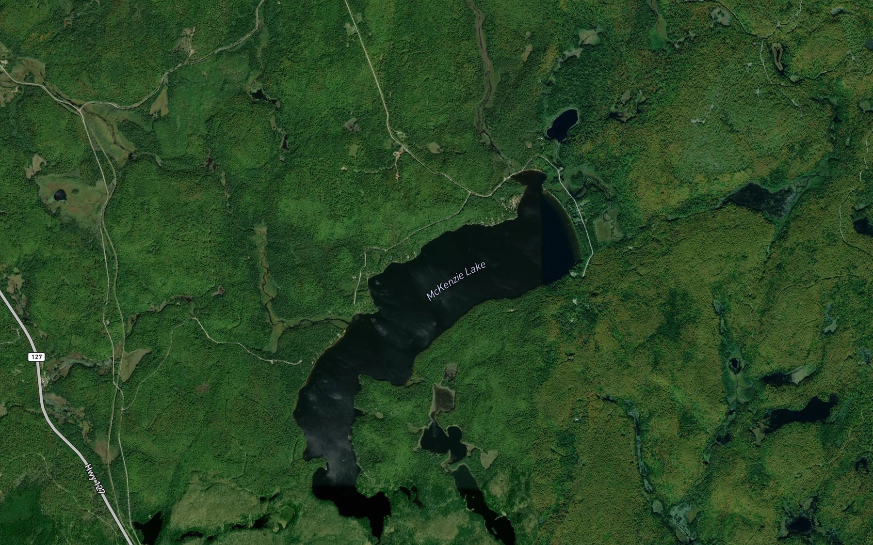 Satellite map of the McKenzie Lake
