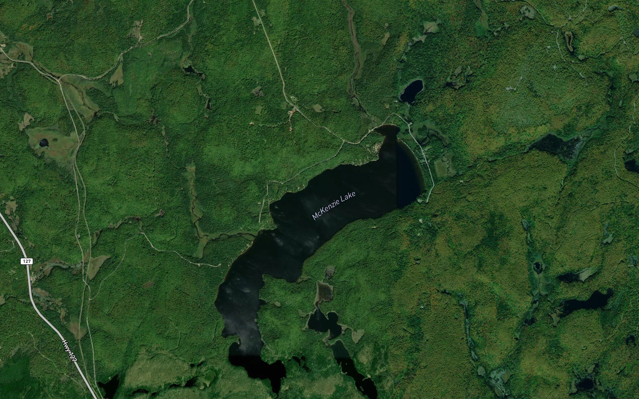 McKenzie Lake