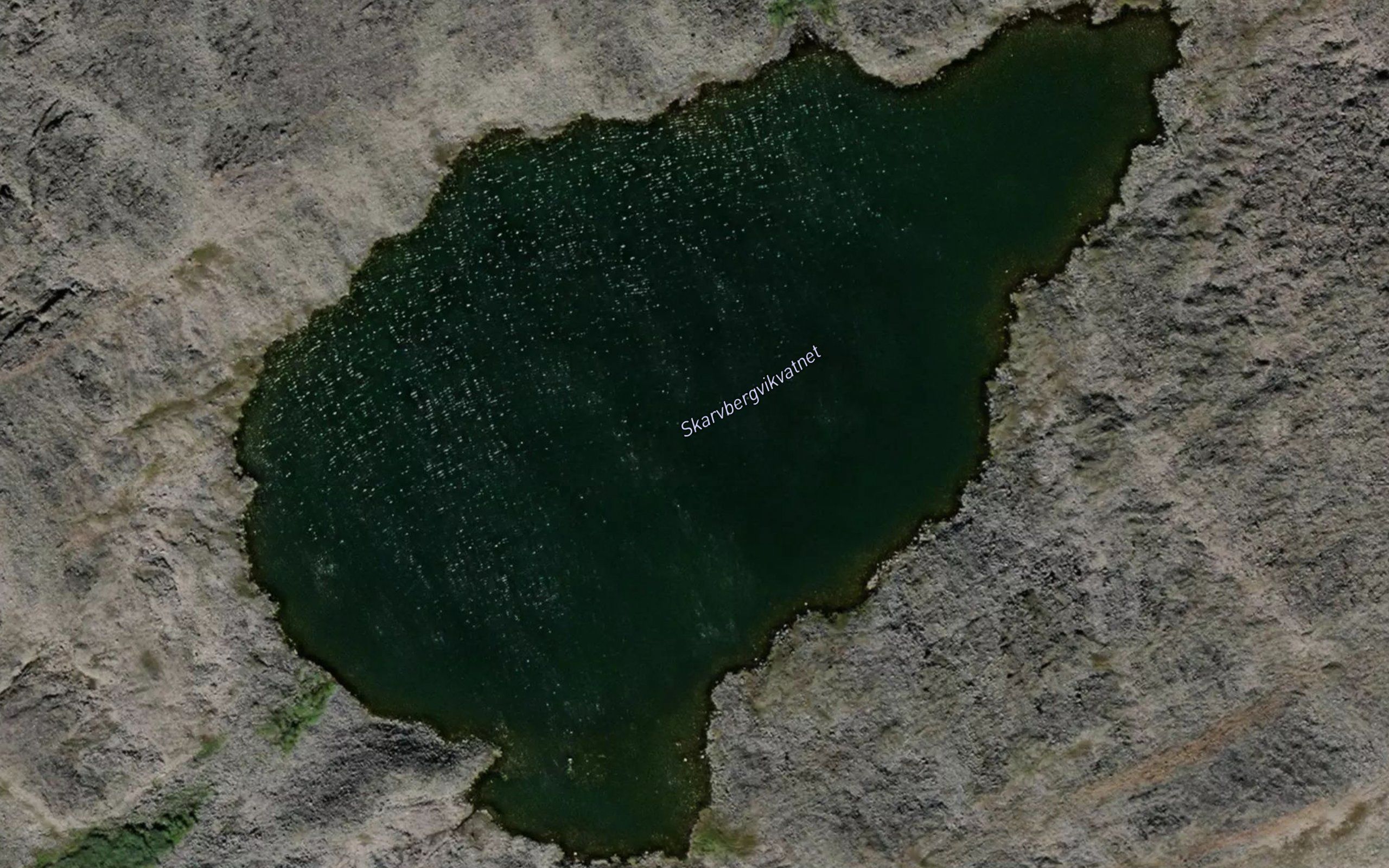 Skarvbergvikvatnet