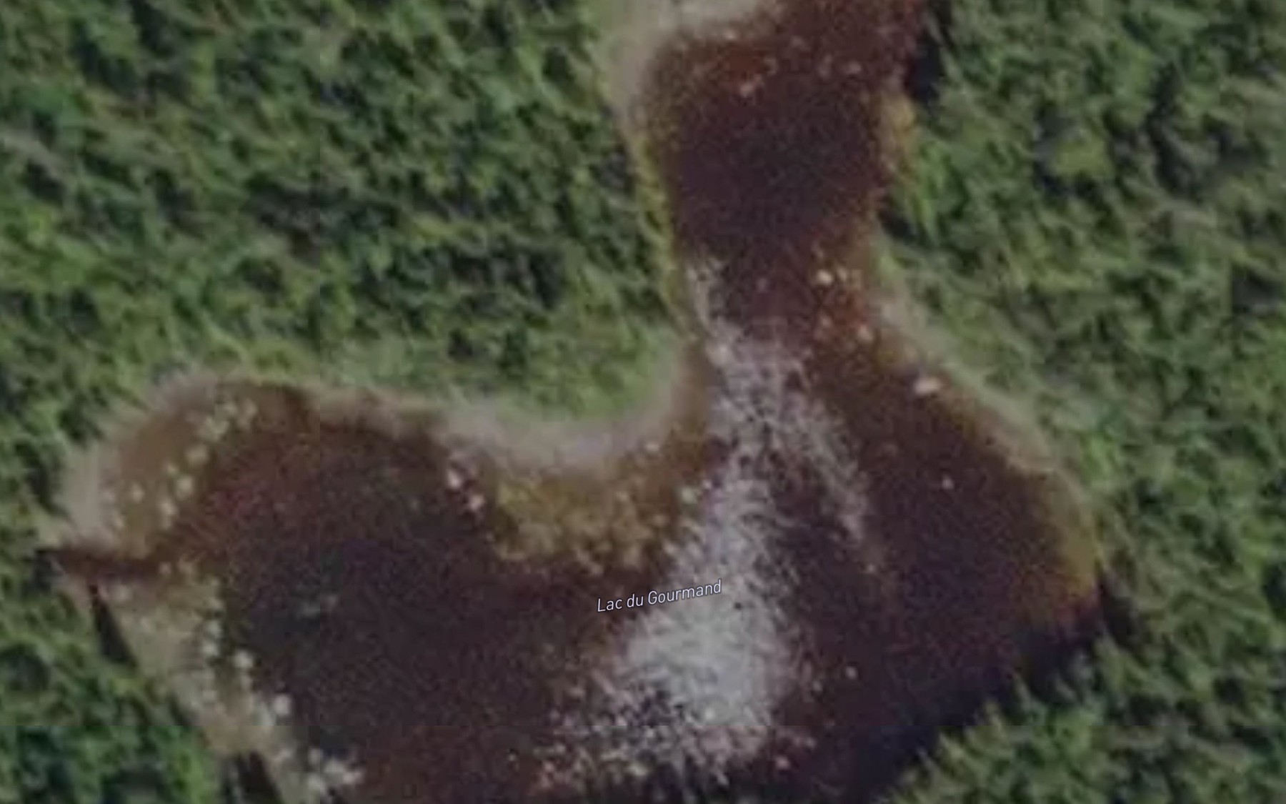 Satellite map of the Lac du Gourmand