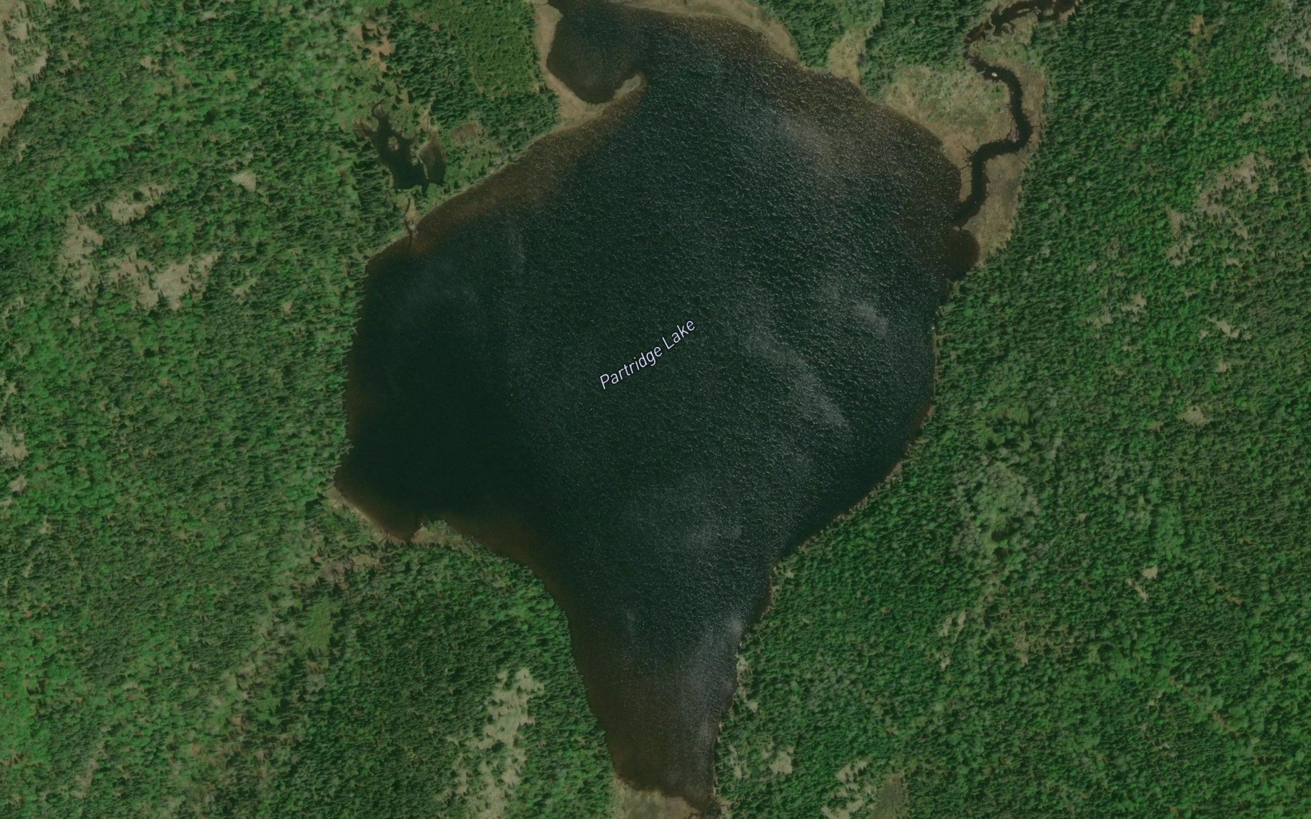 Partridge Lake