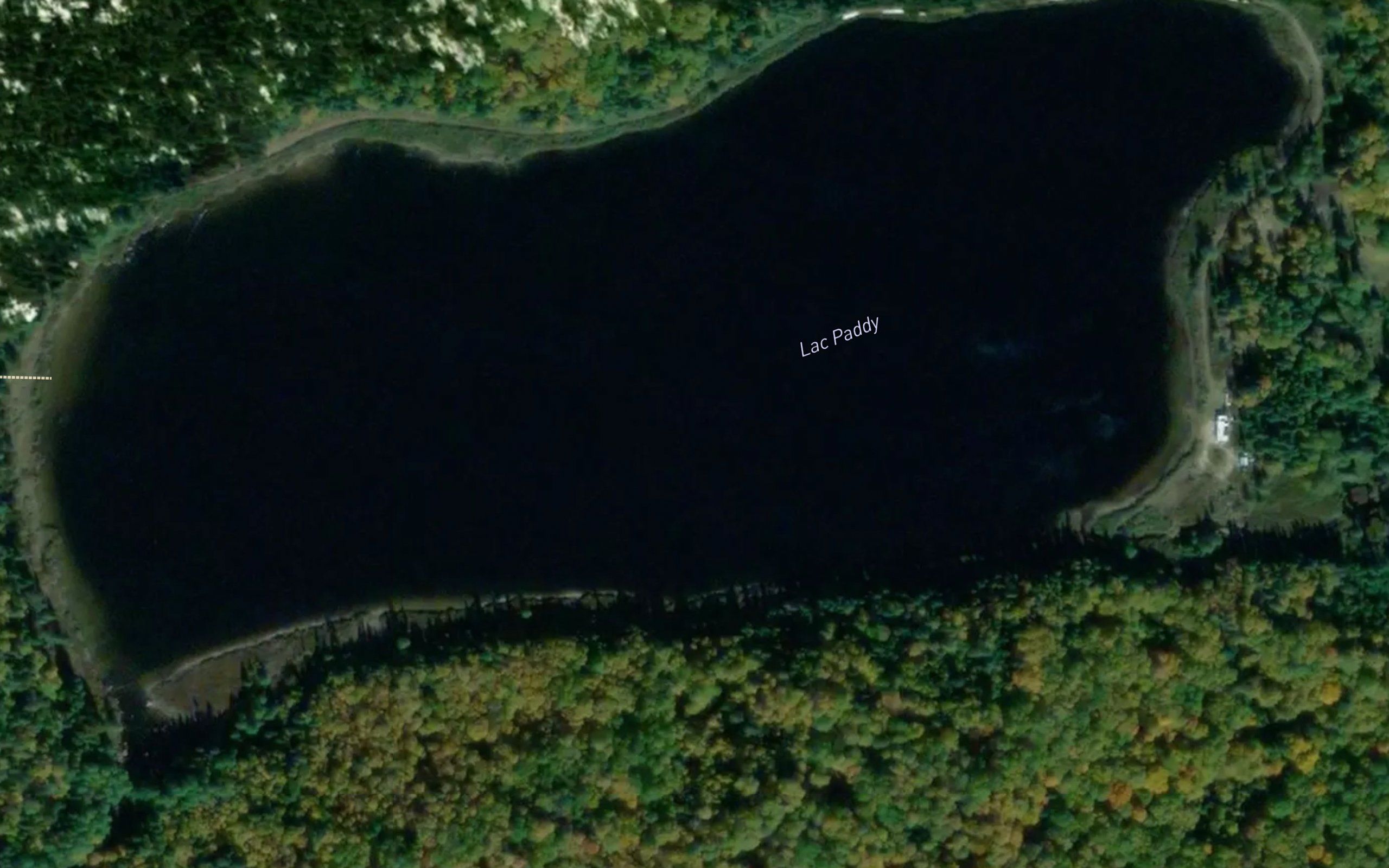 Lac Paddy