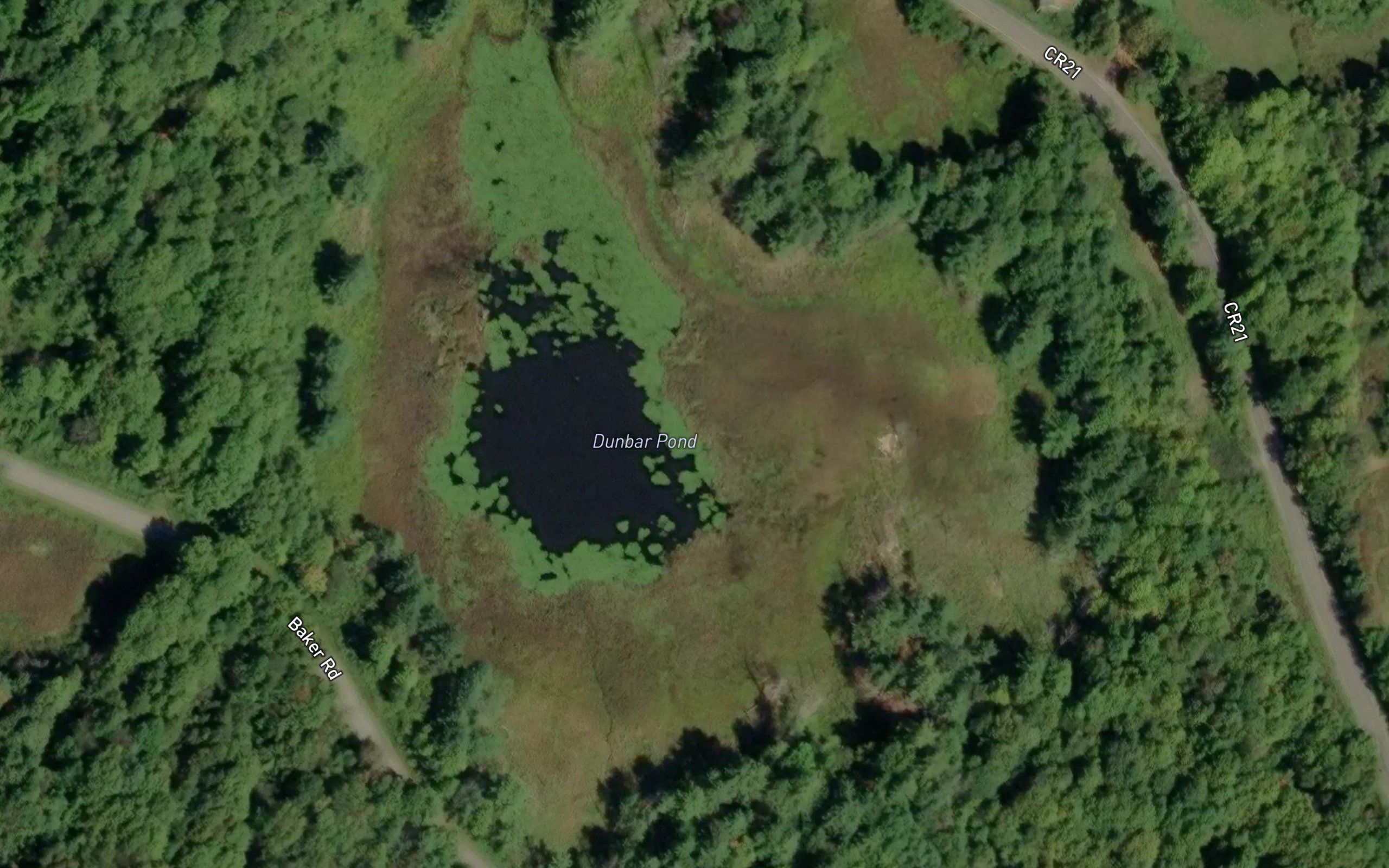 Dunbar Pond