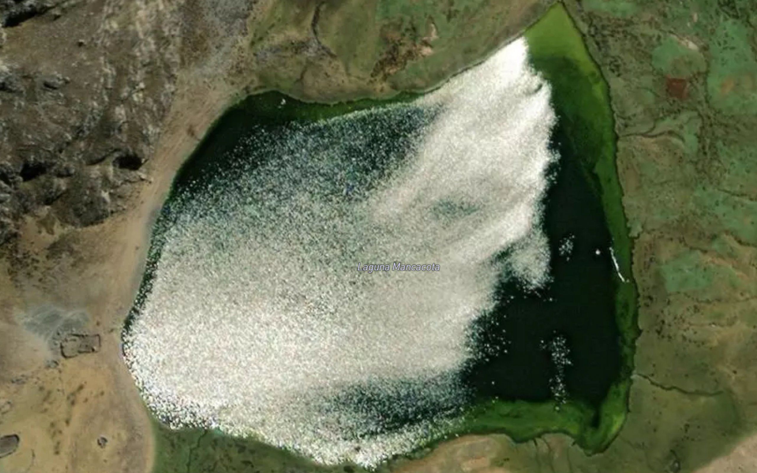Laguna Mancacota