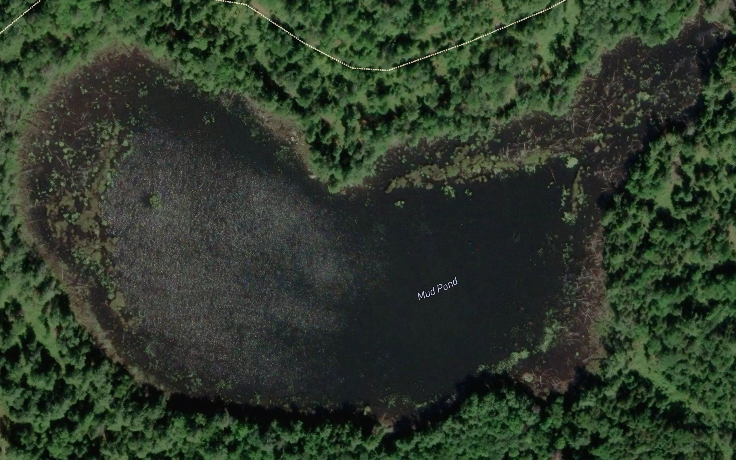 Mud Pond