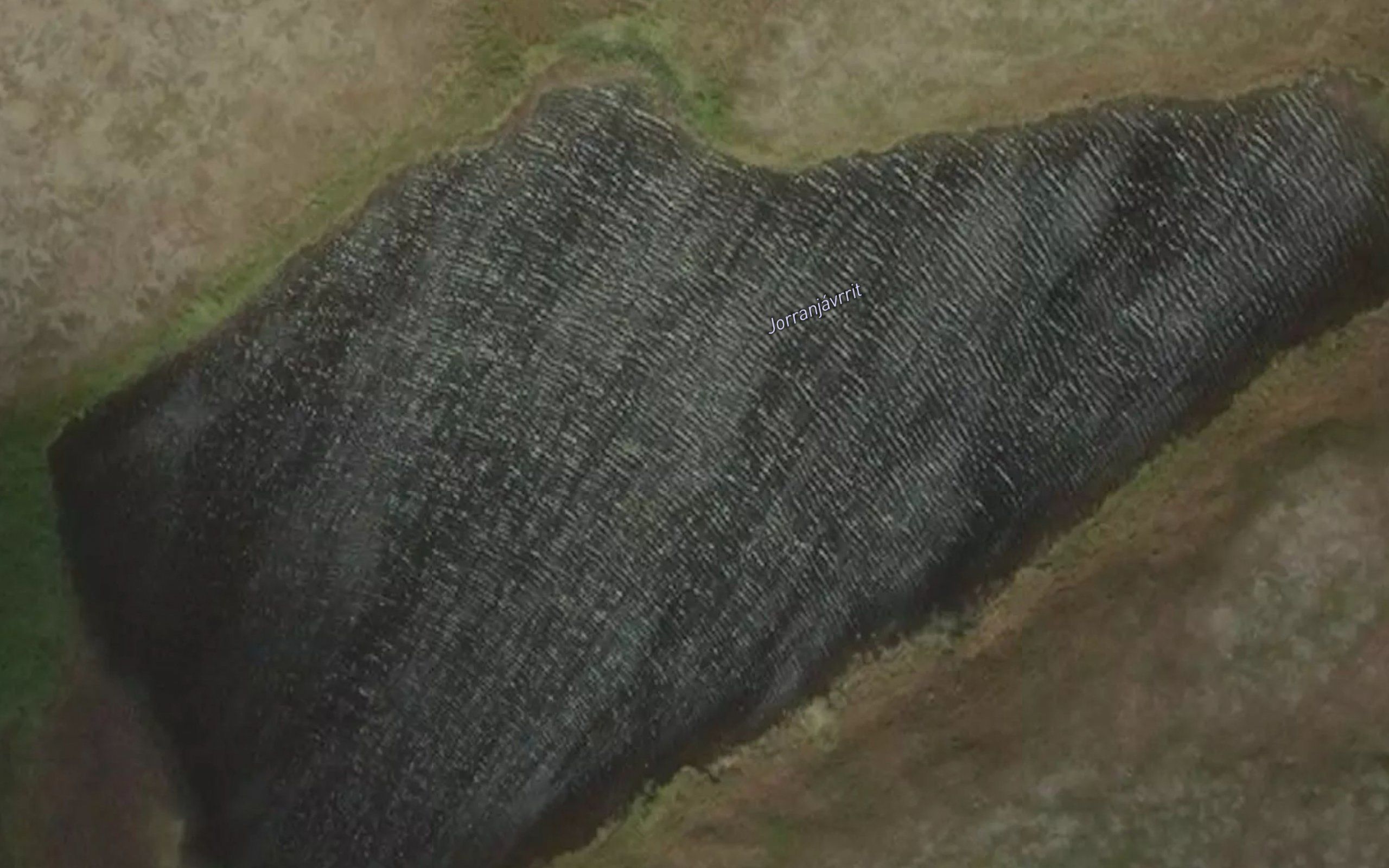 Jarranjavrit