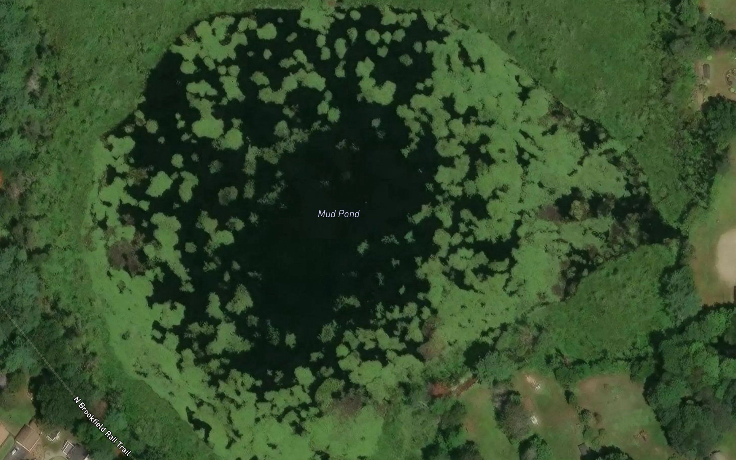 Mud Pond