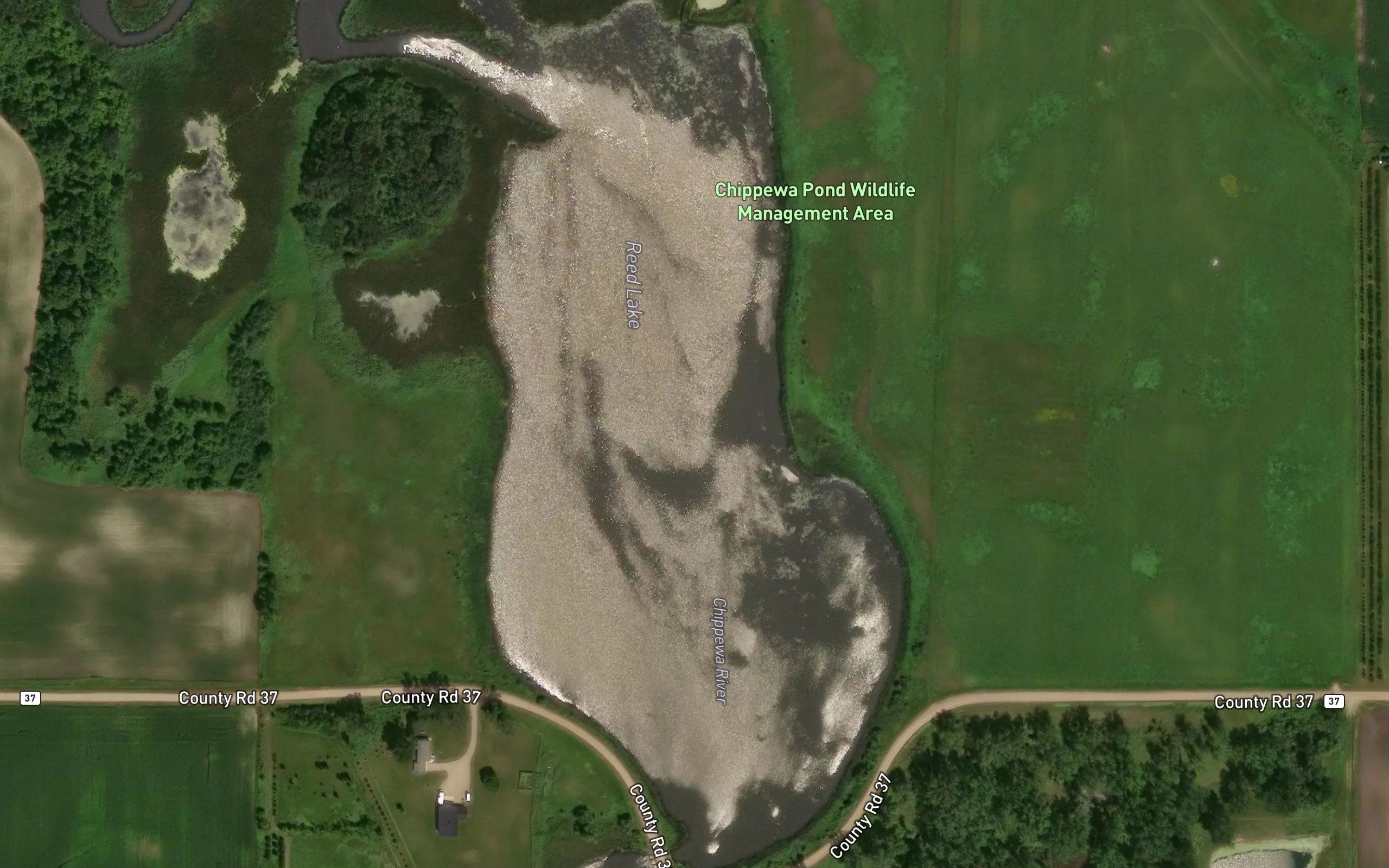 Reed Lake