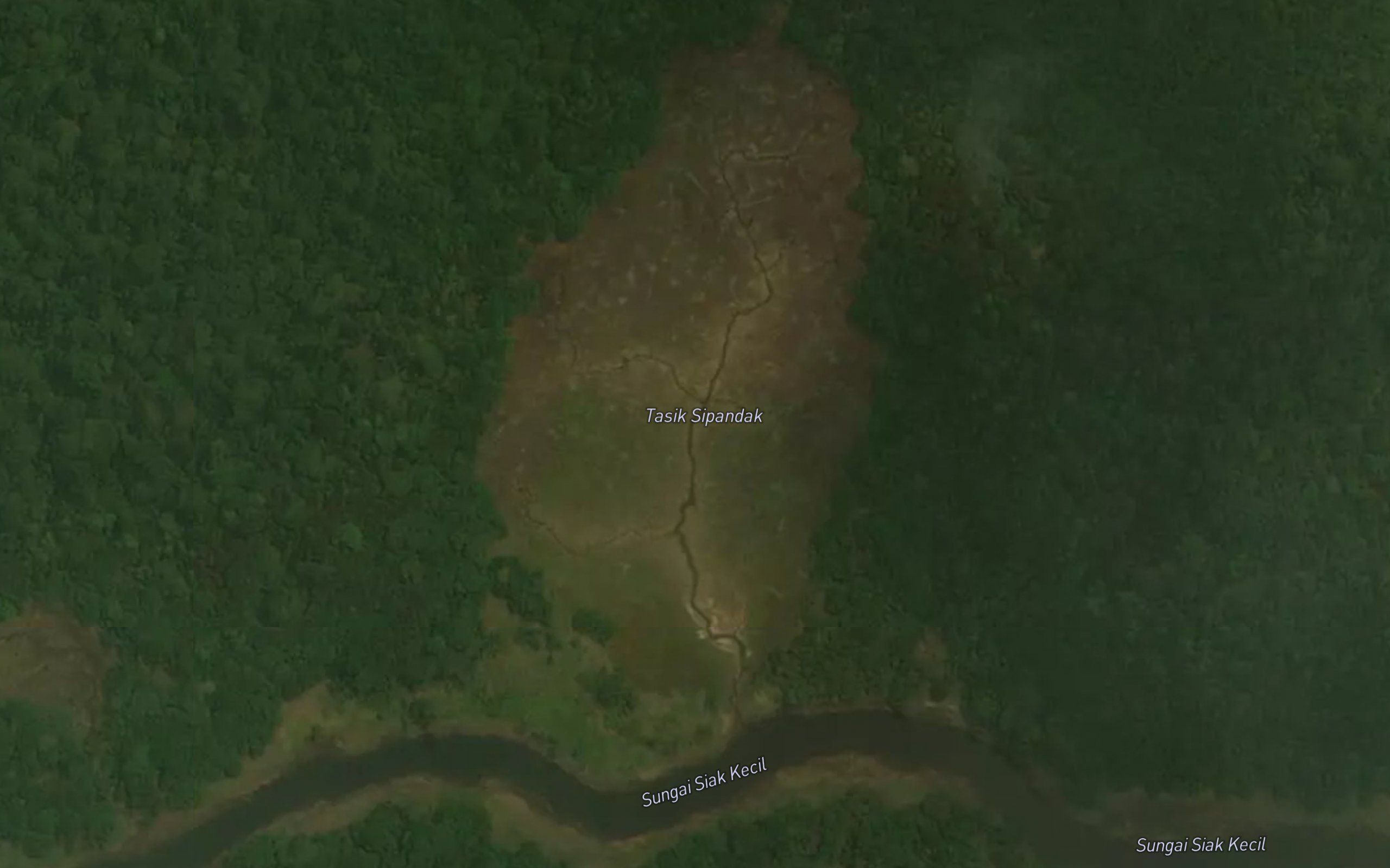 Tasik Sijemput