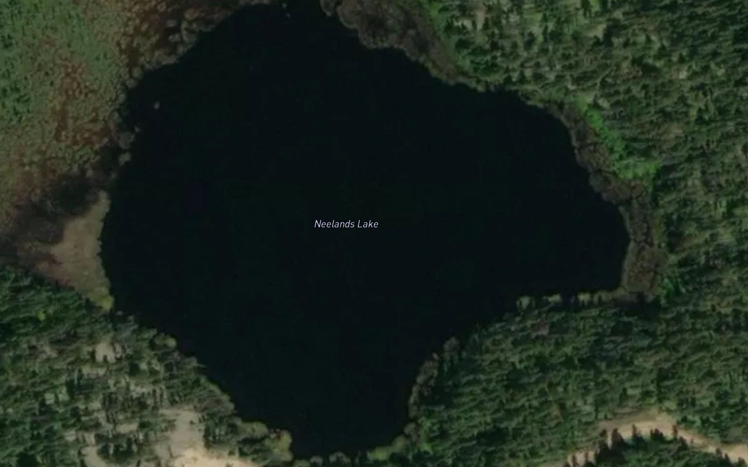 Neelands Lake