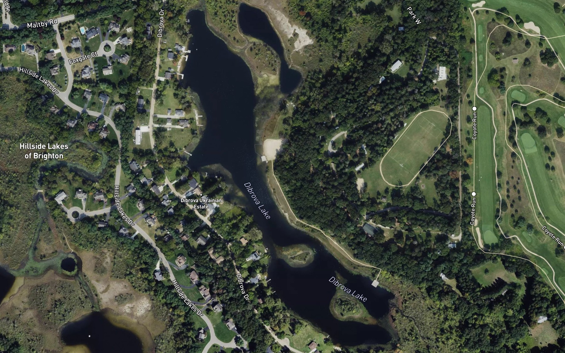 Satellite map of the Dibrova Lake
