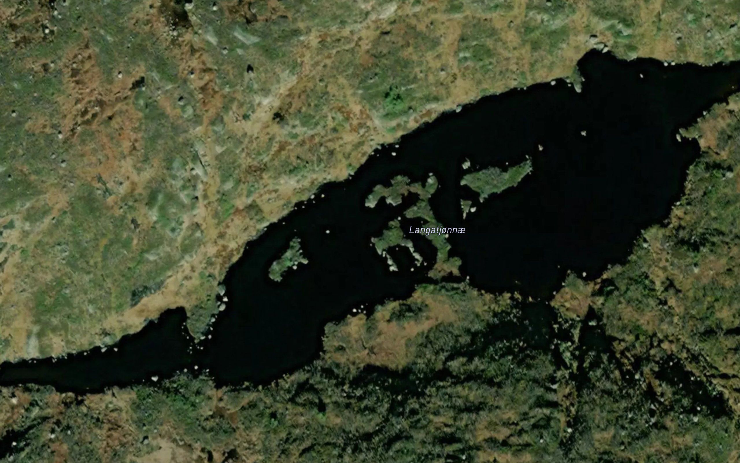 Langatjorn