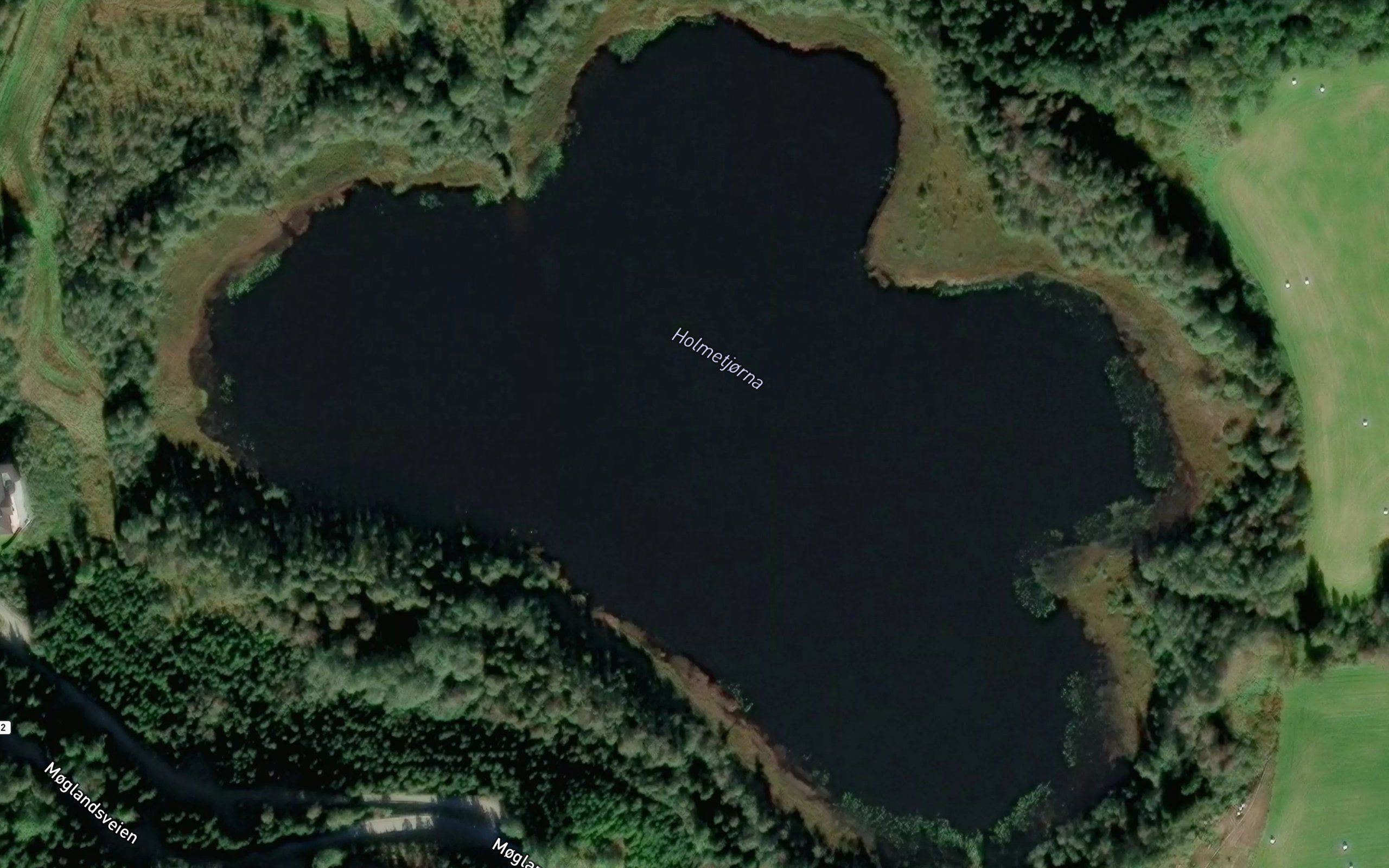 Holmetjorna