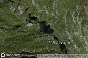 Honsevatni