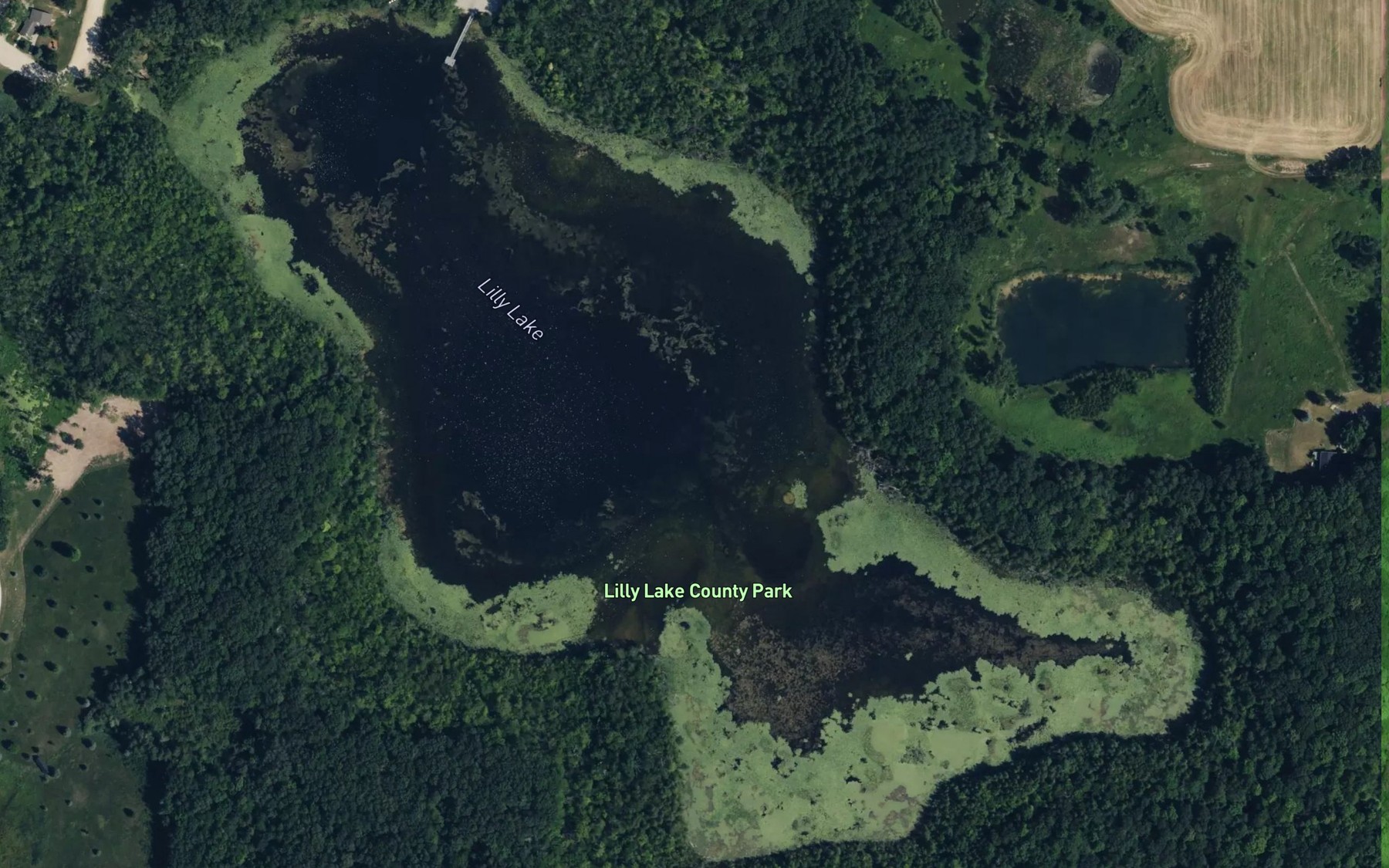 Satellite map of the Lilly Lake
