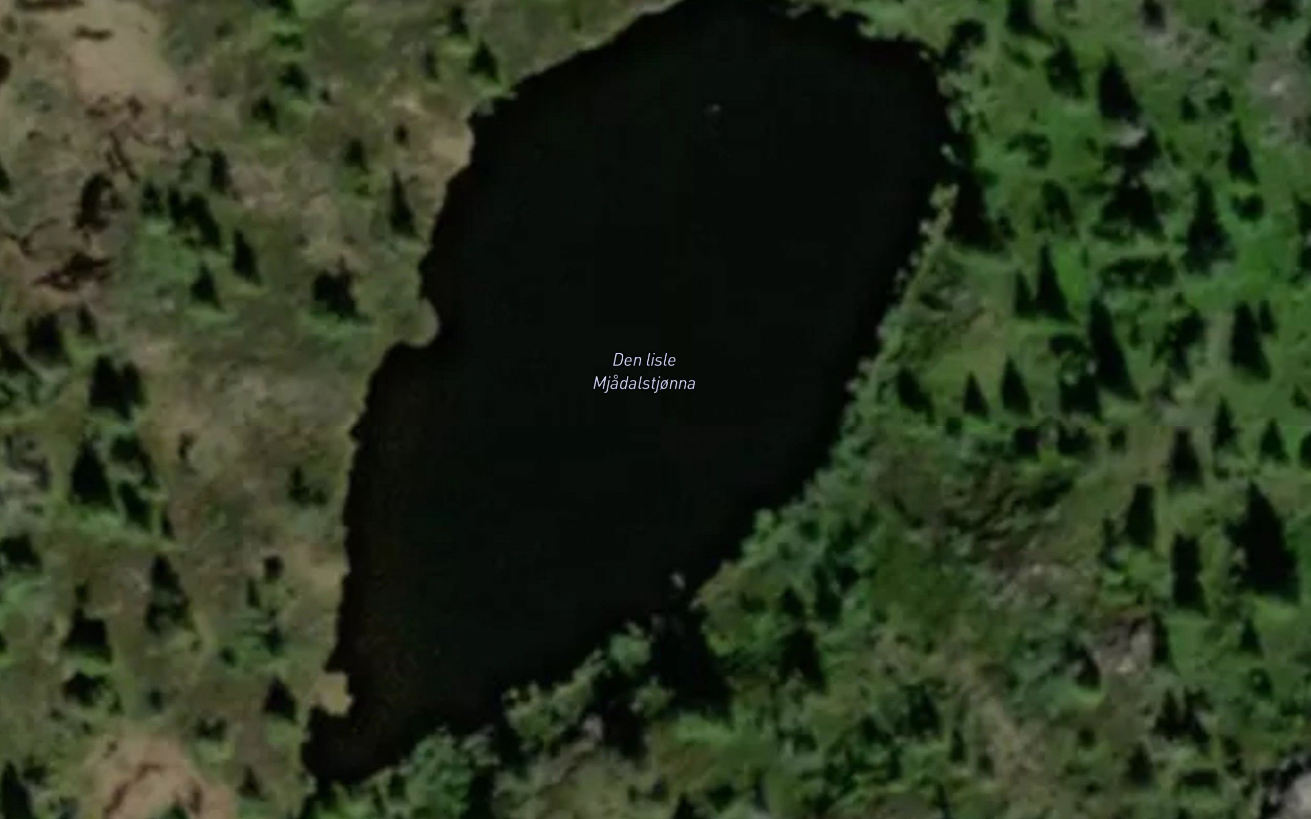 Den lisle  Mjadalstjonna