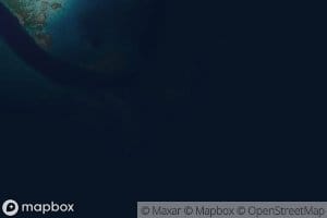 Tepuka Vili Coral Heads