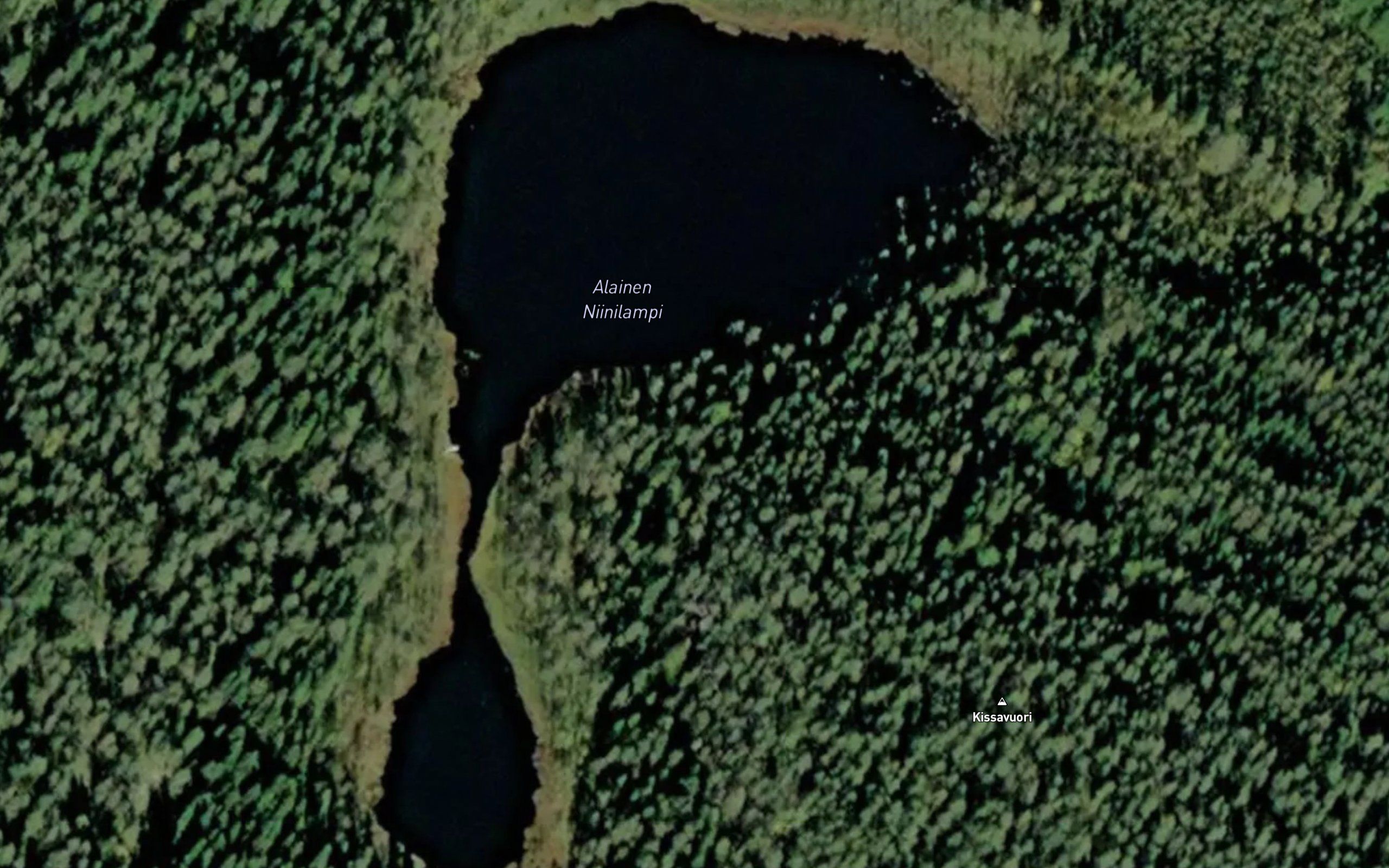 Alainen Niinilammi
