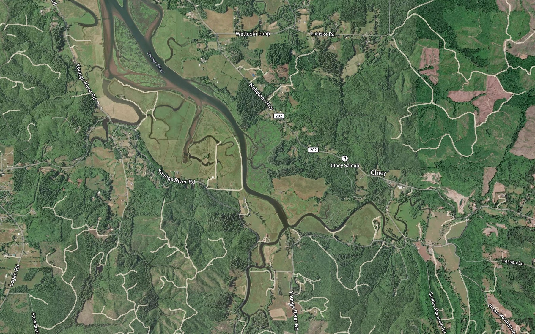 Satellite map of the Cooperage Slough