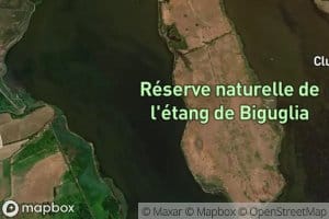 Etang de Biguglia