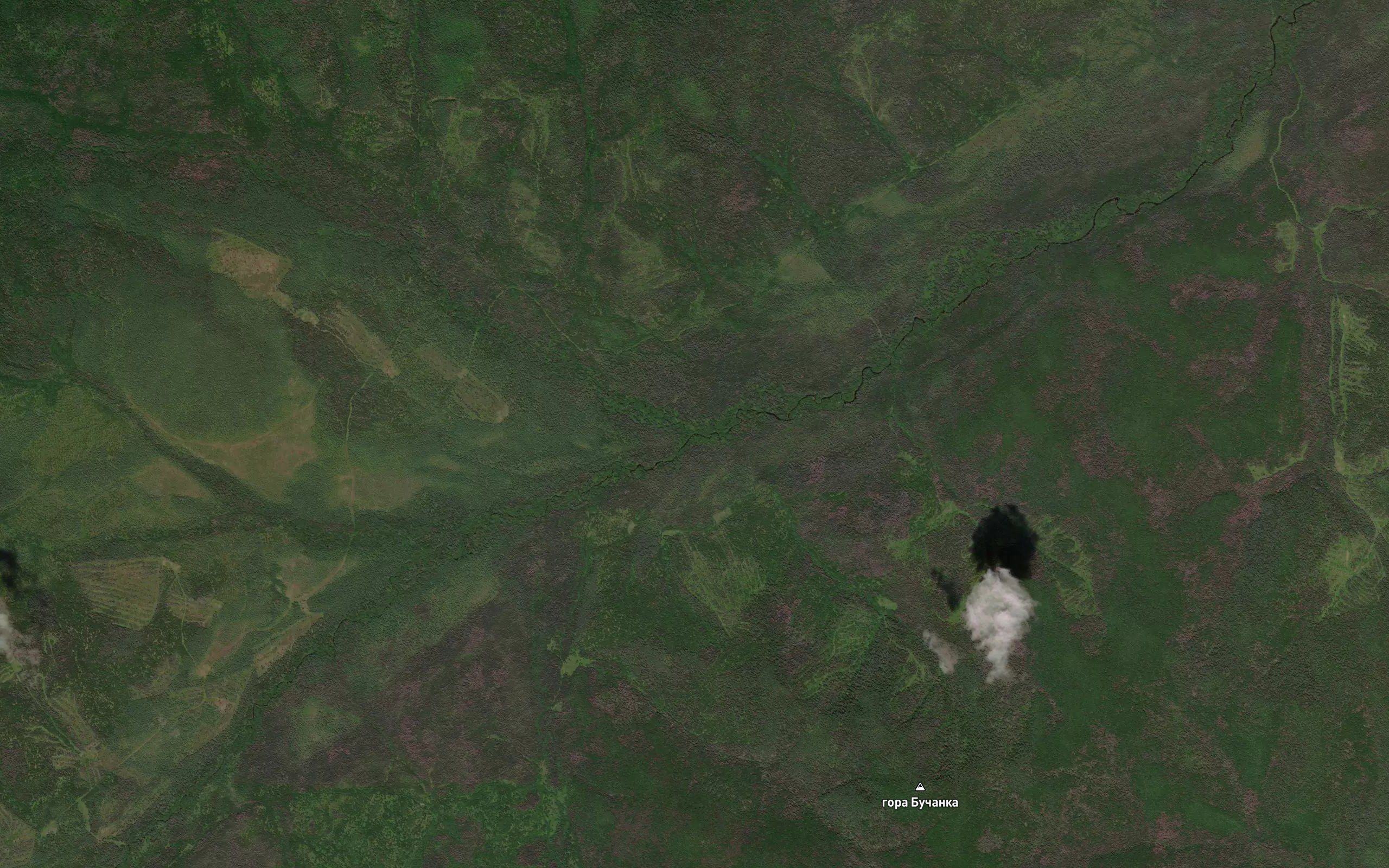 Barachnaya