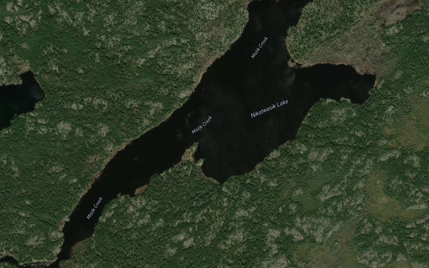 Satellite map of the Nikotwasik Lake