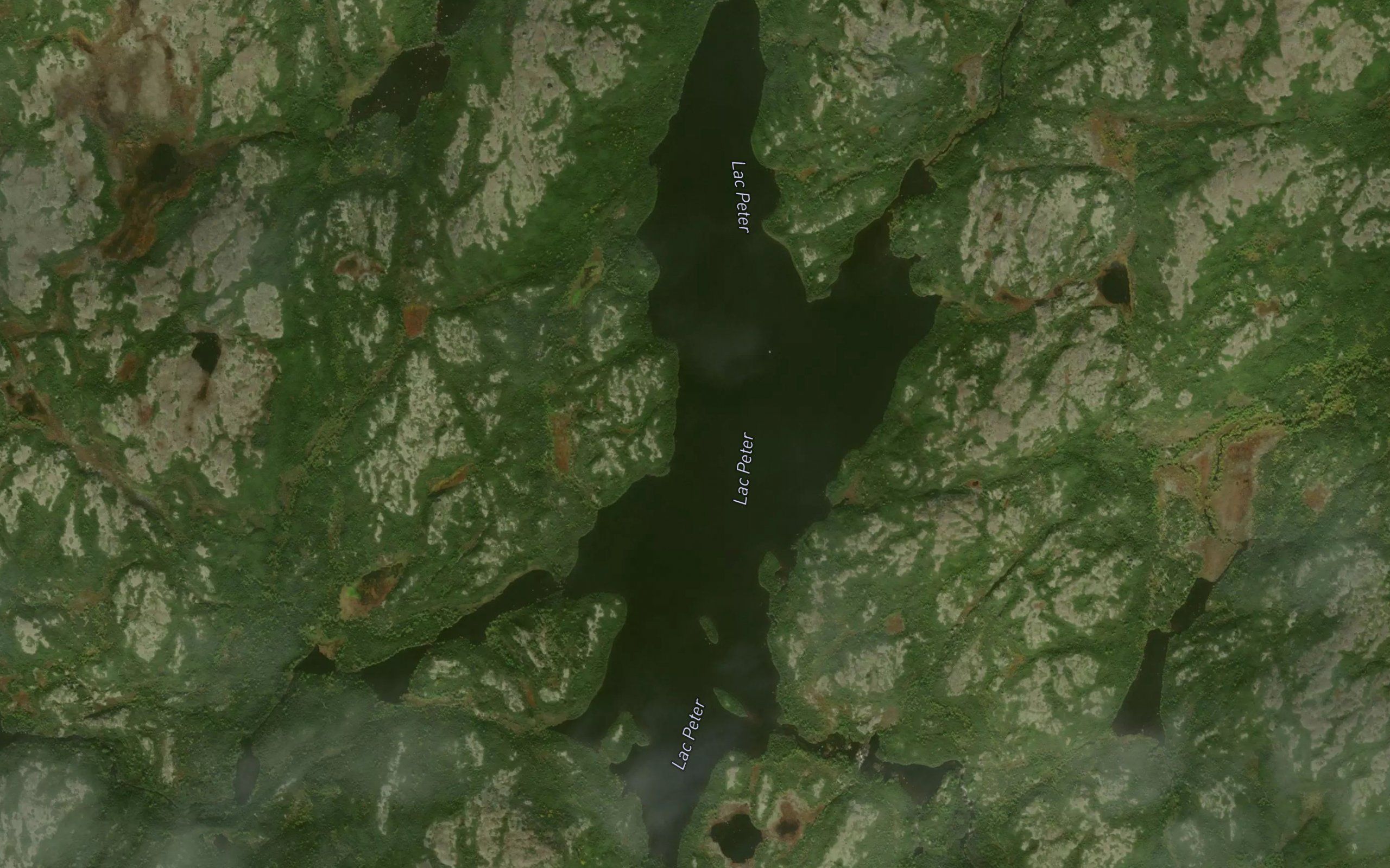 Lac Peter