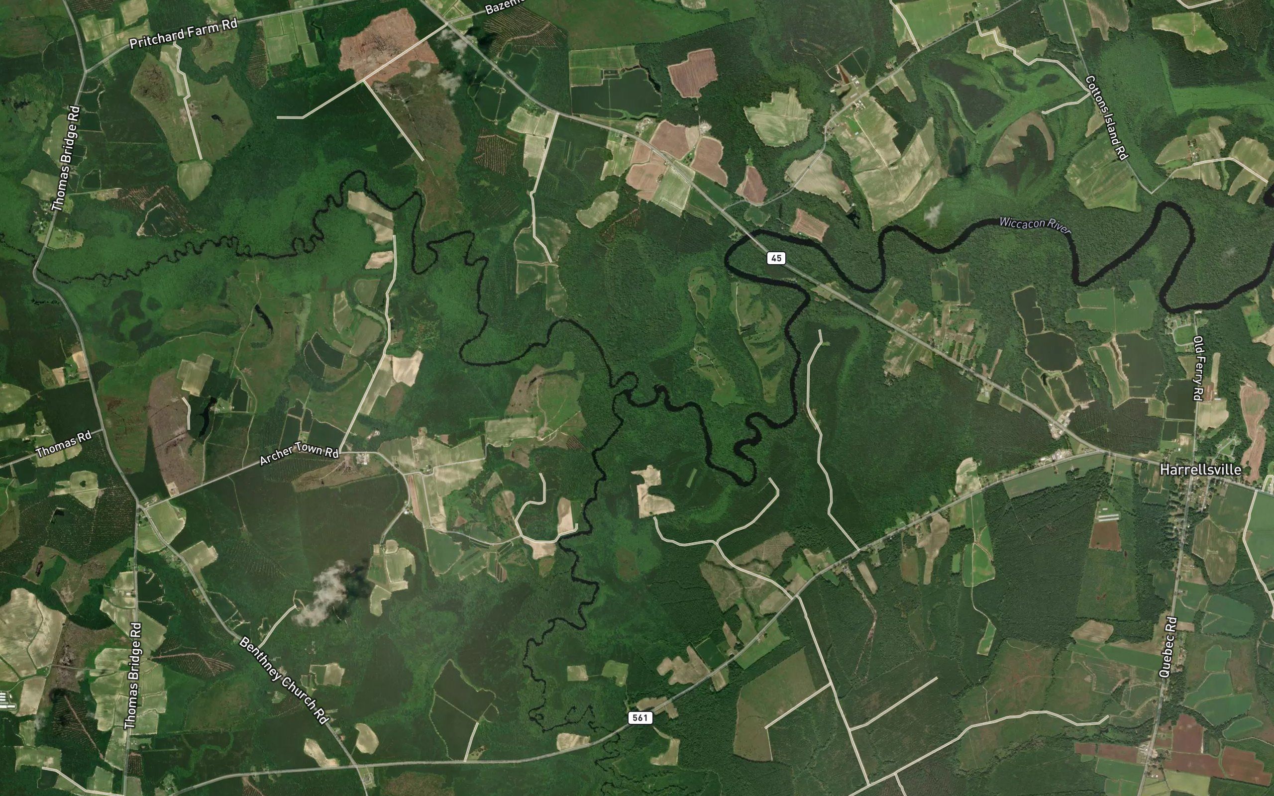 Chinkapin Creek