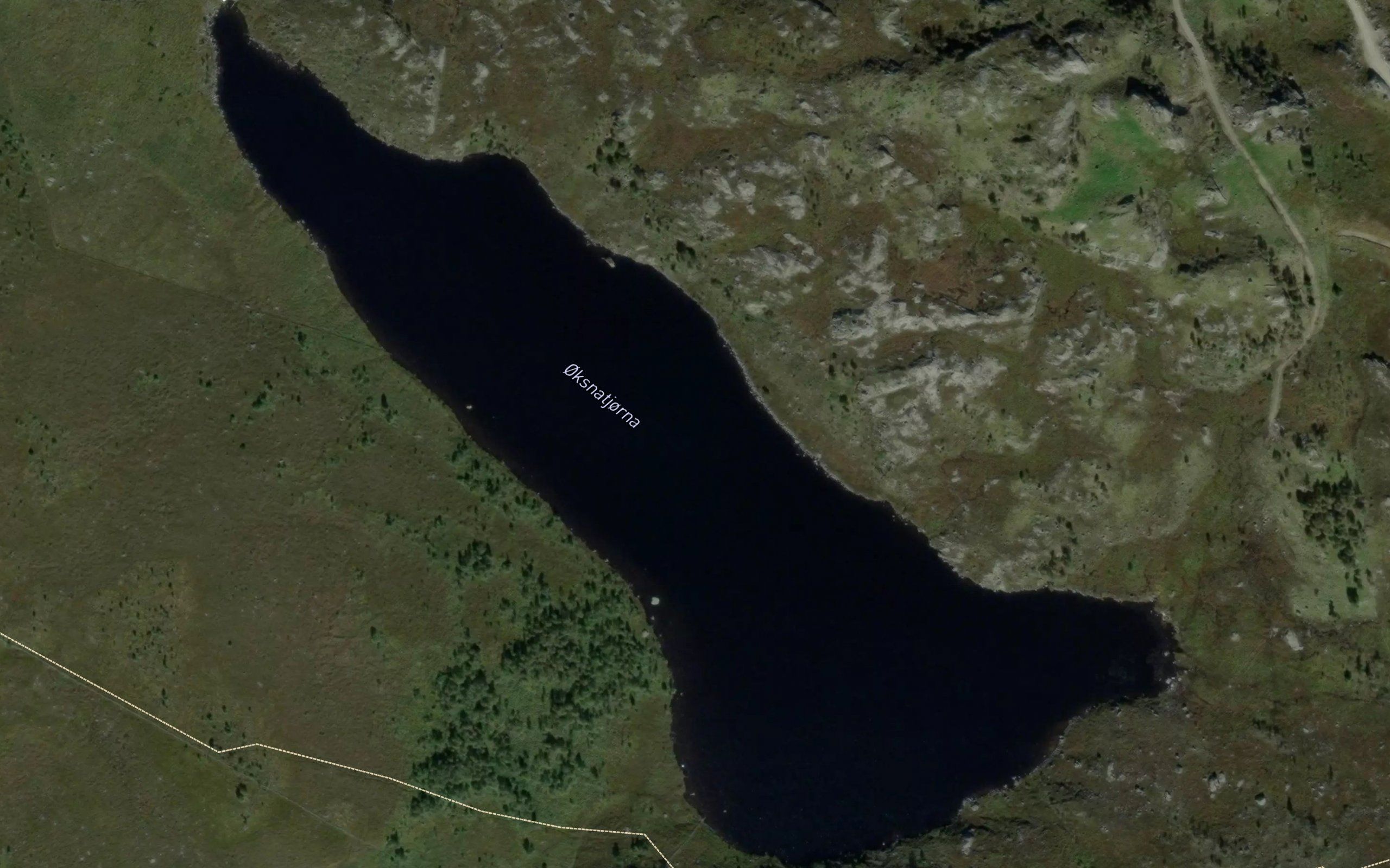 Oksnatjorna