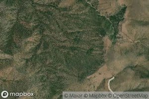 Little Brewster Spring