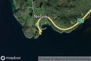 Nesvika