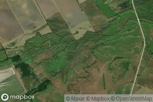 Cottonwood Creek