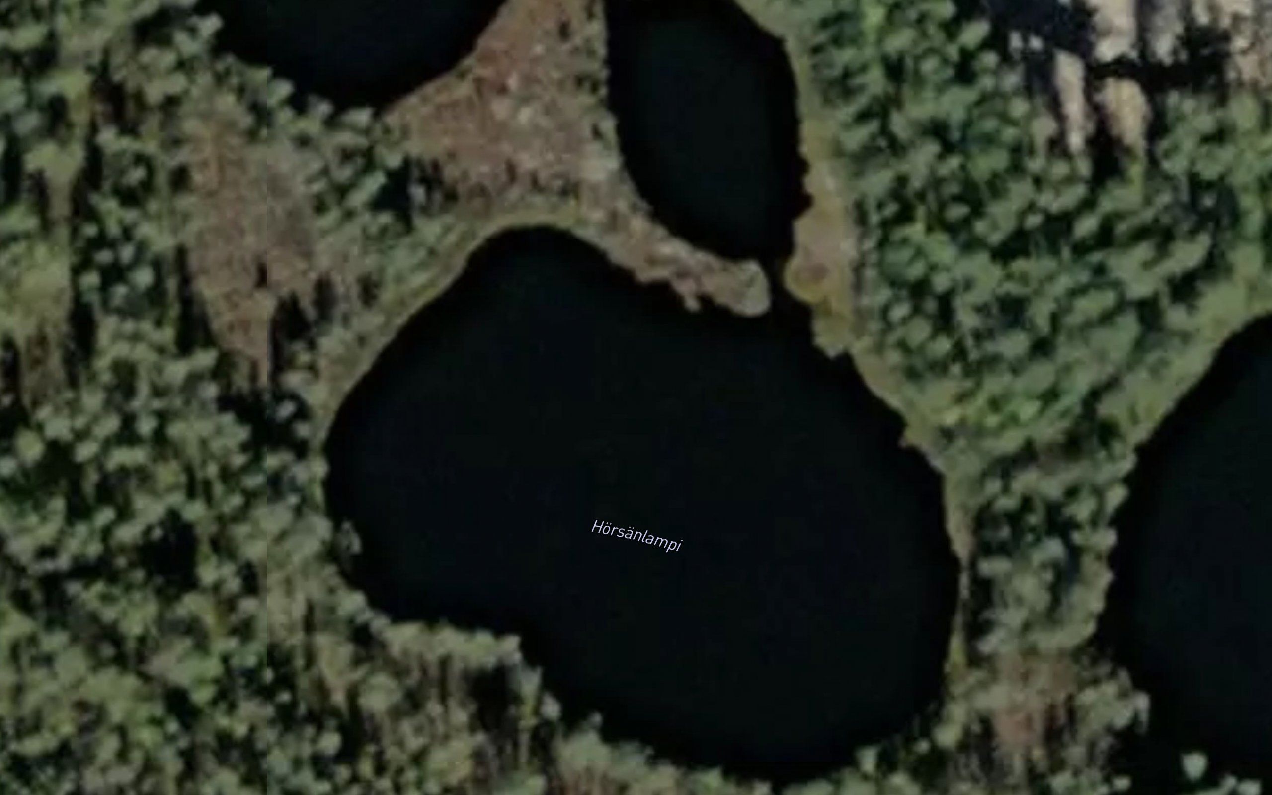 Hortsanlammit