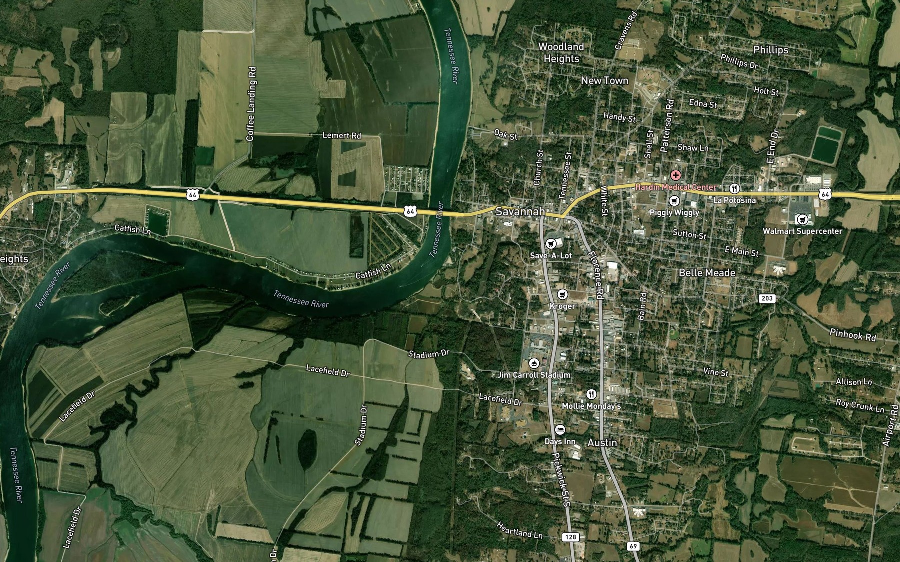 Satellite map of the Town Branch