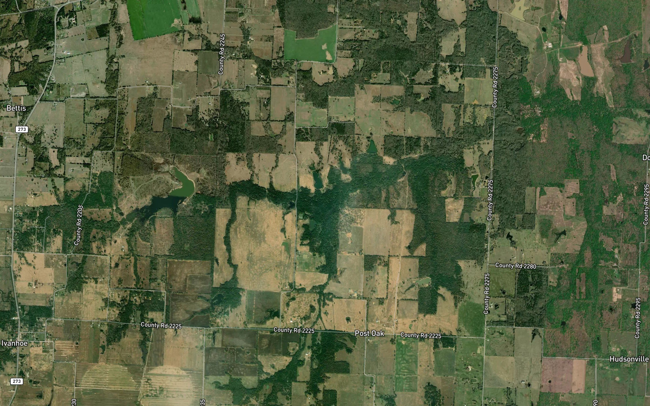 Tanbark Creek