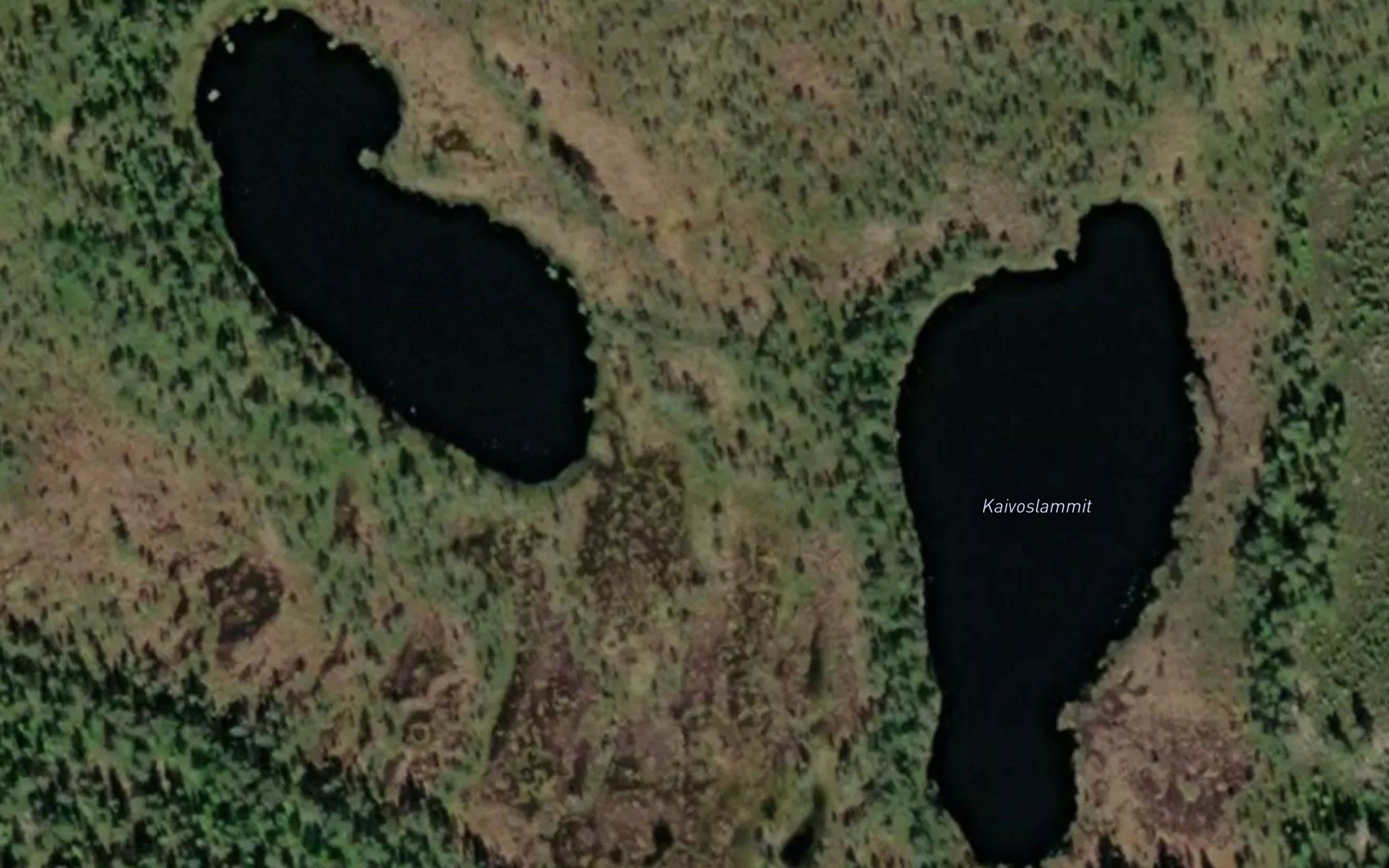 Kaivoslammit