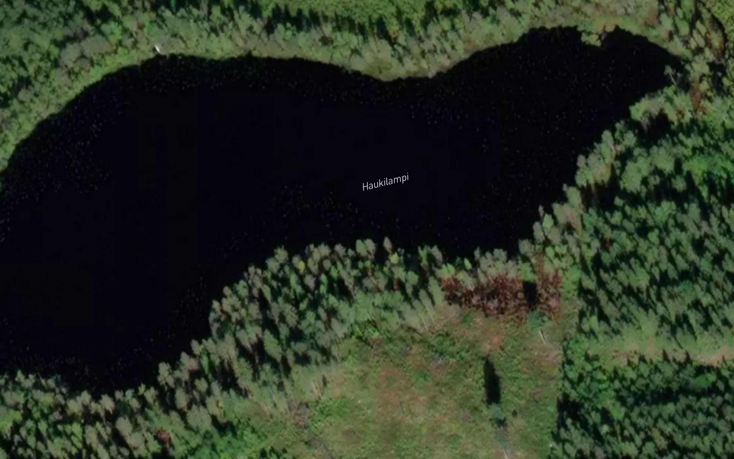 Haukilampi