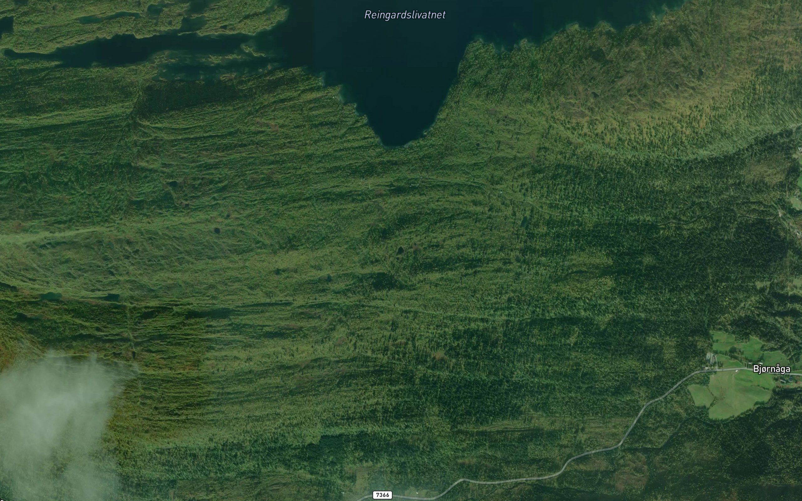 Segeltjonna