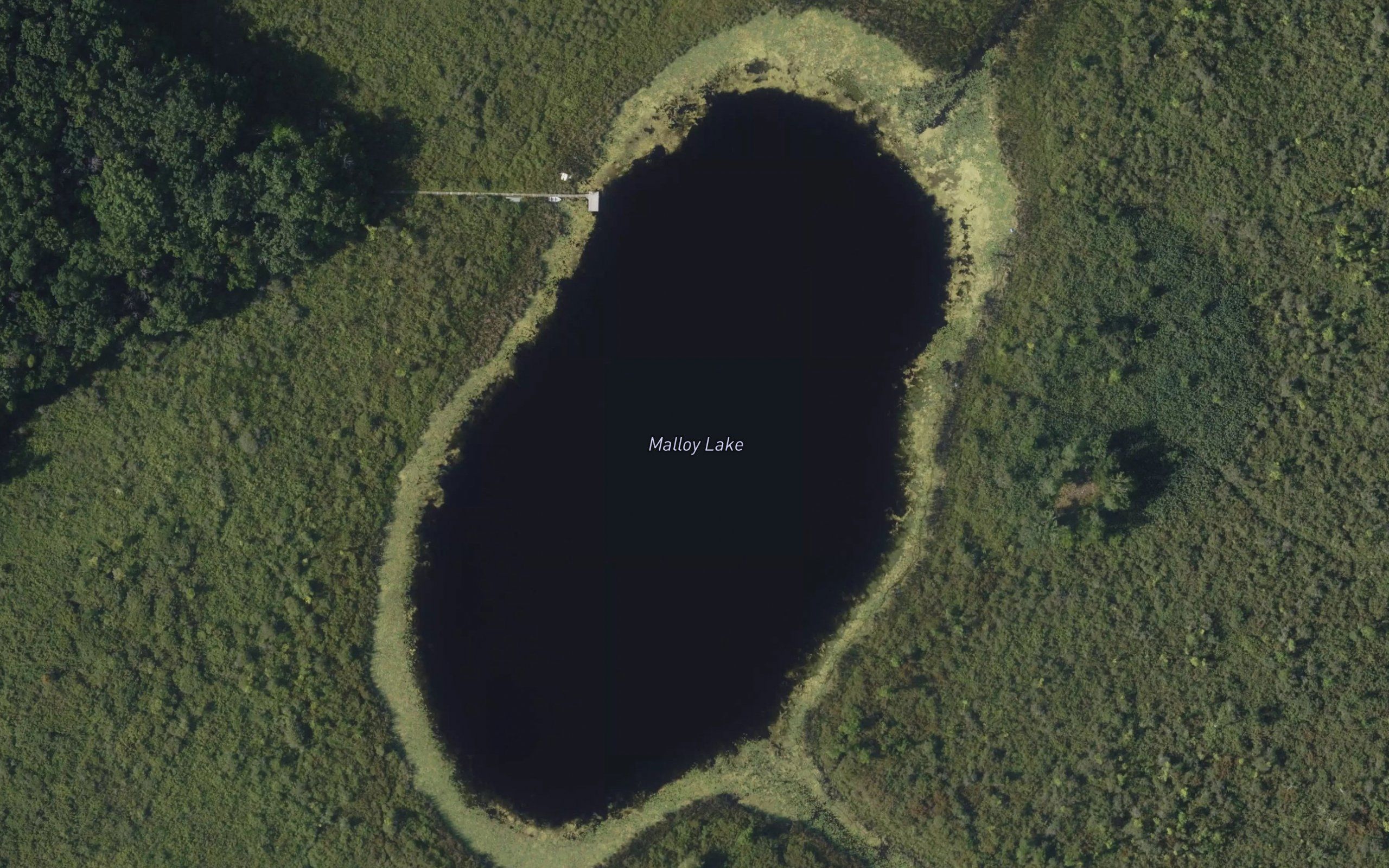 Malloy Lake